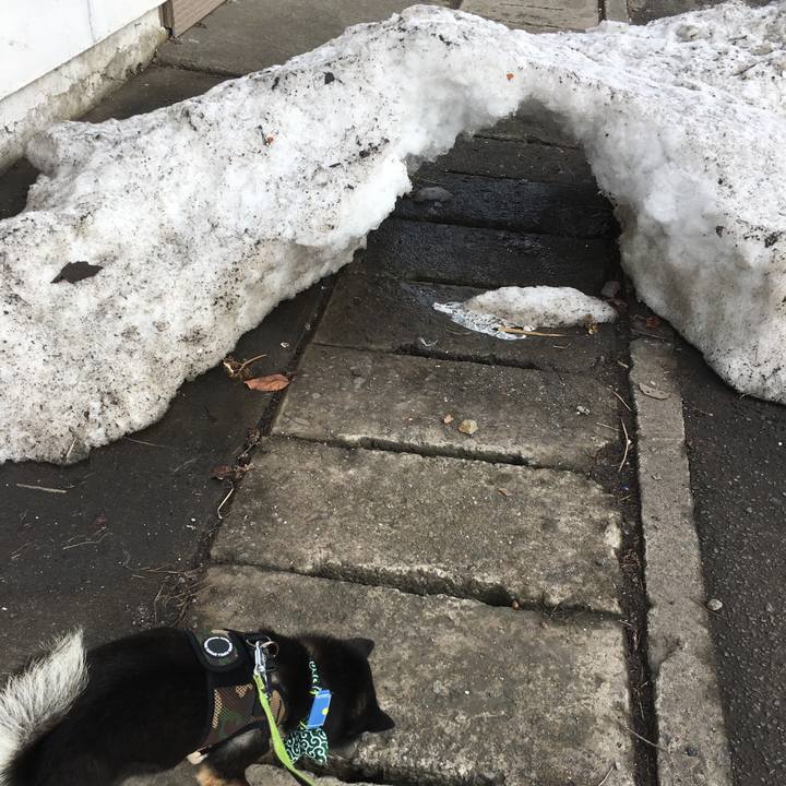 99c9d8b1 4b8a 48ec 851b 44e91c180cb5