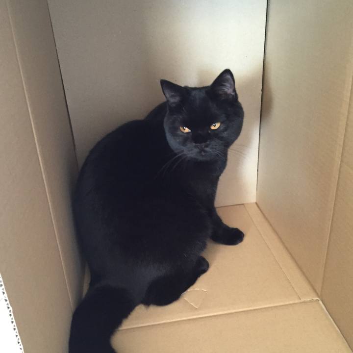 99ca8c9e 1546 4ad2 88cc 4b6c50e803ee