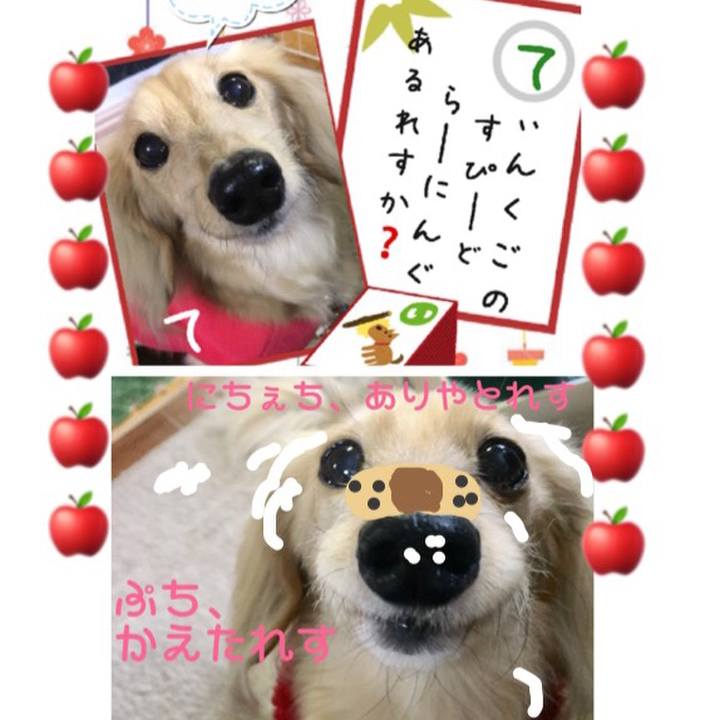 99cad505 c424 4ed7 bbb2 f1b8a1e7c15e