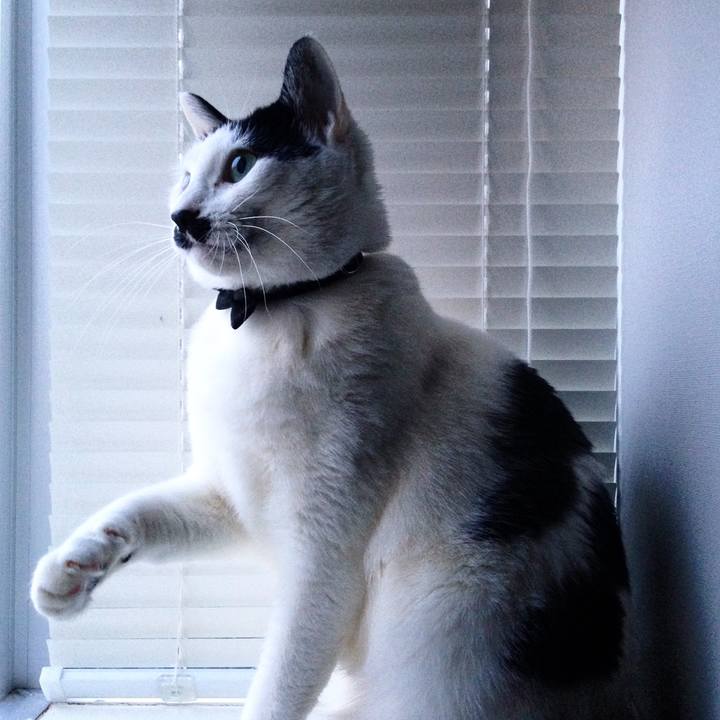 99cb0b9a 9b47 455e 8d89 16fb18b6281b