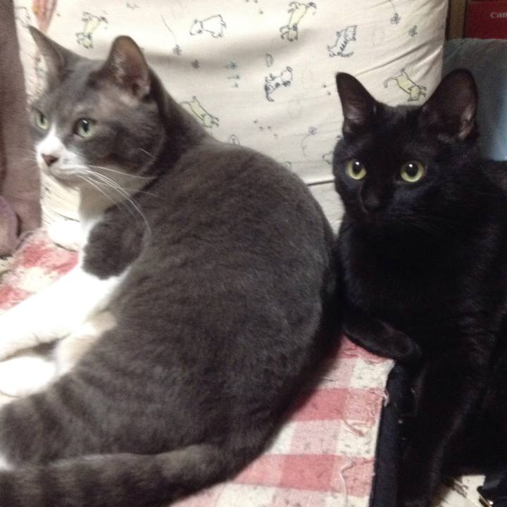 99cbbd51 f6bf 4fb6 bd3b df8b95b6a177