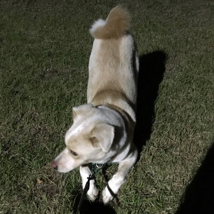 99ccbecf 6c9f 4fb0 bcb4 ae0fab56e78c