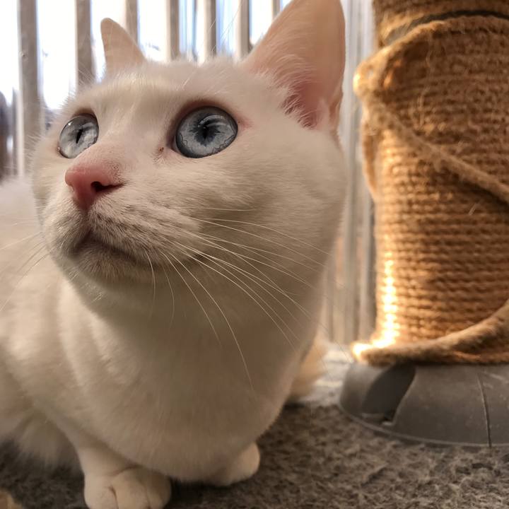 99cd4b65 3688 4ff1 9cd8 aff7035d6530