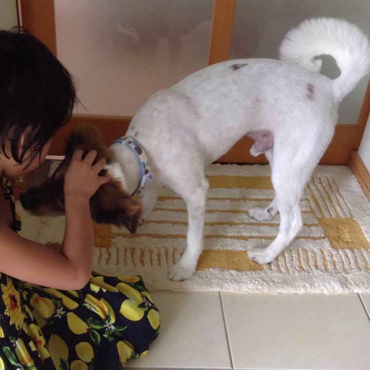 99cedaed a839 4fa9 9168 a8caa072e33a