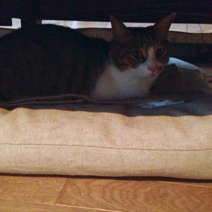 99cf4885 c7d3 48b9 a75e 4121a67c3f43