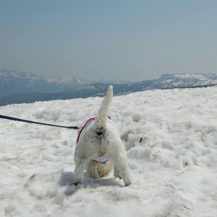 99cf5a9e ee32 4b58 b928 ce779e695118