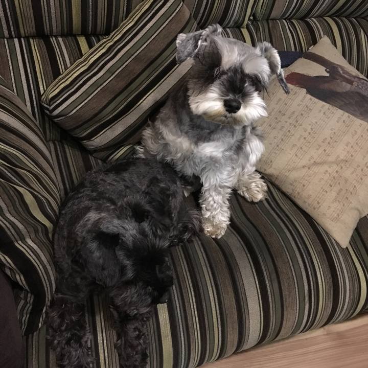 99cfbc36 fd63 4c72 9ba5 0abc0b0dd7bd