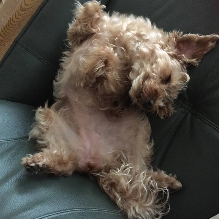 99d083a8 bcd2 4de4 961c e6b17d5ac1bb