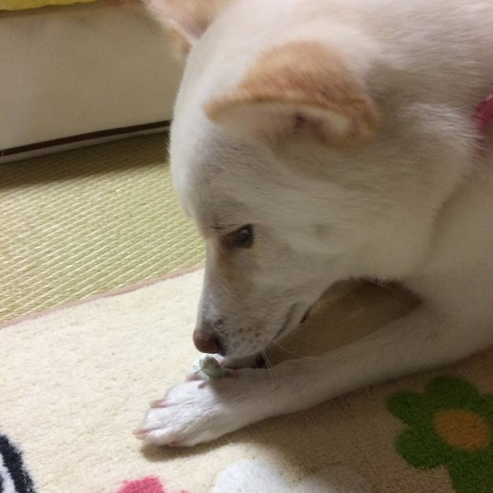 99d14560 e54a 46a3 bbab e18e0db8b3e0