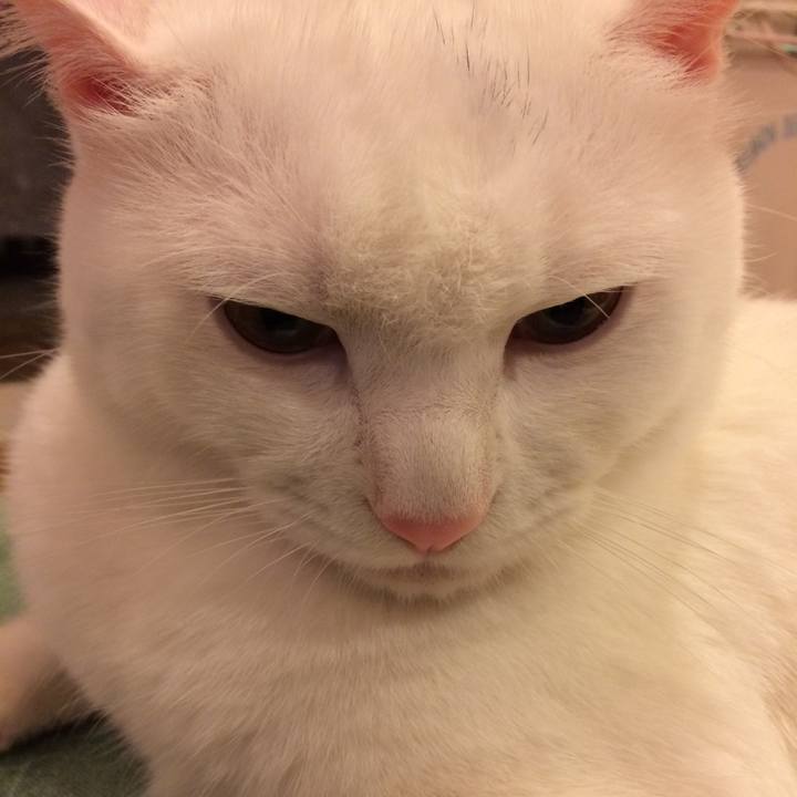 99d15b97 4e40 4104 a681 ef17e40df488