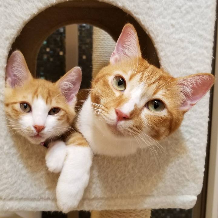 99d160cd f9b5 4759 aef1 ab2a1d7bea83