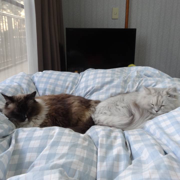 99d16c9c d533 46ec b4e5 ec5a163029ed