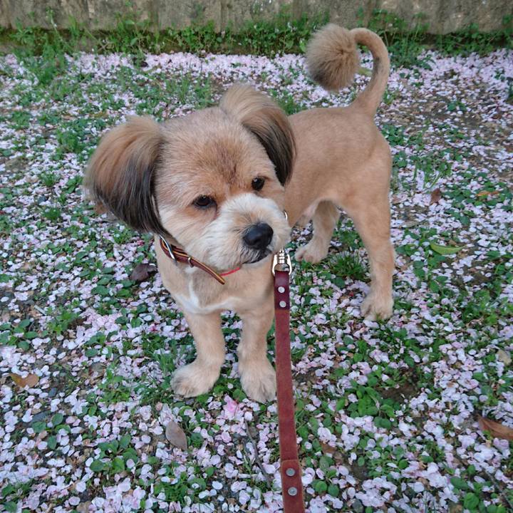 99d17f57 996f 4521 9fca 2f71f533c4fa