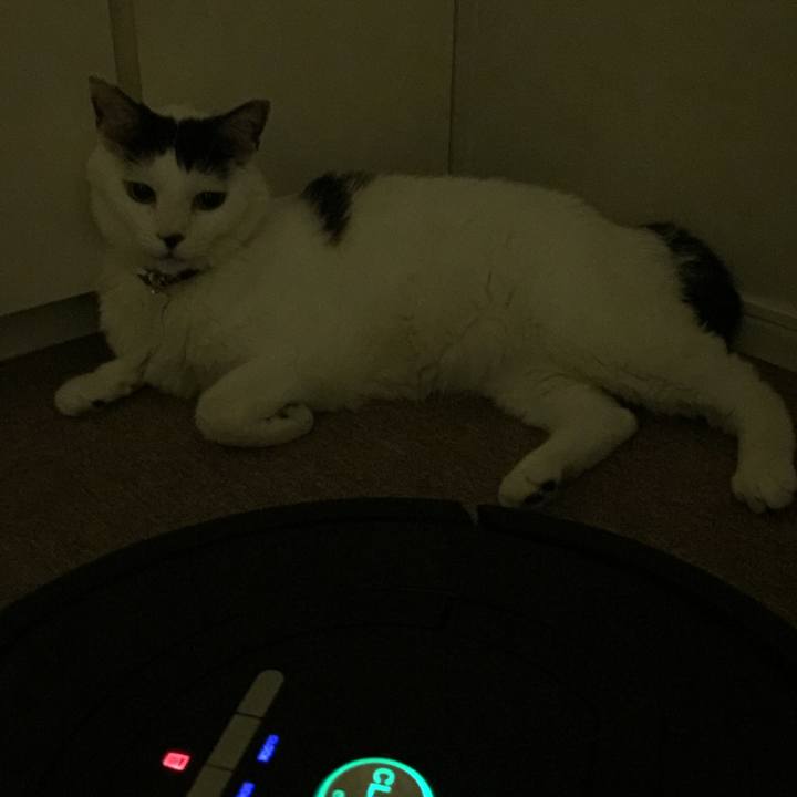 99d2b288 be15 4883 b0d5 a85c16453a60