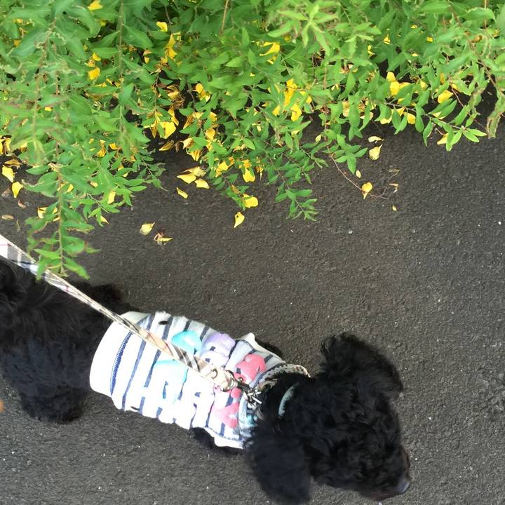 99d38637 d578 4486 87f1 fd8972f6c618