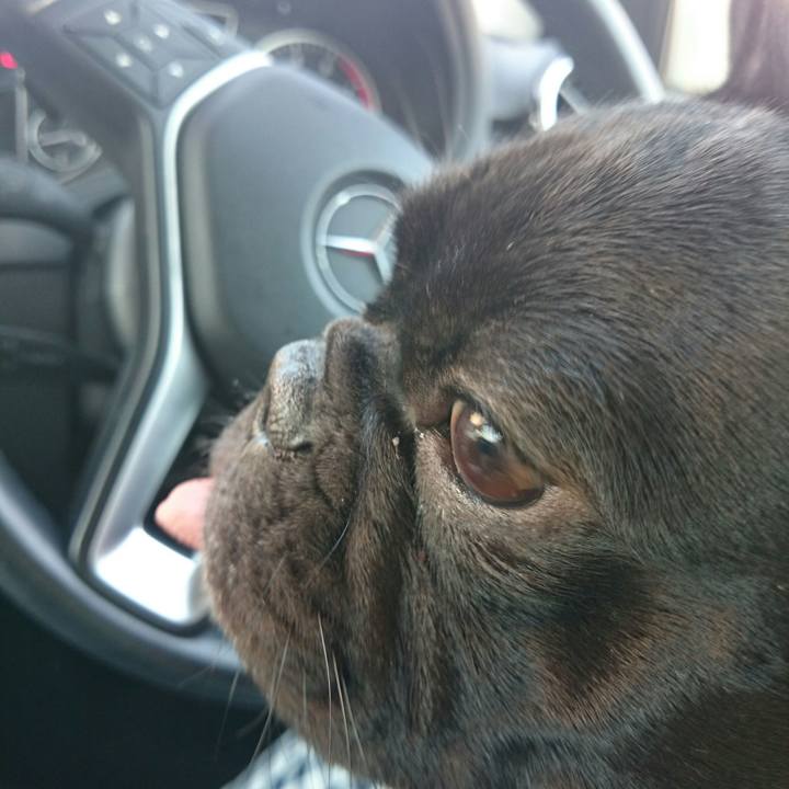 99d38b87 6700 4b94 8386 08b309f6970b