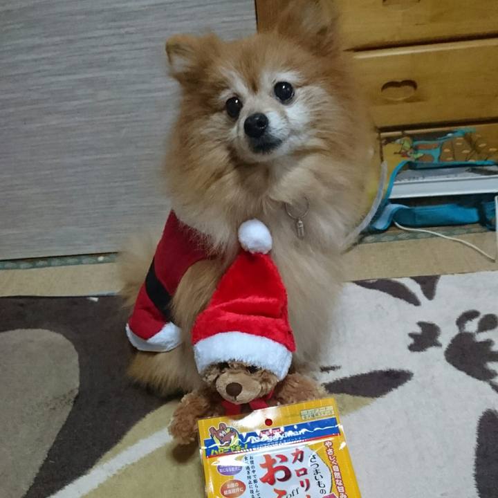 99d39975 fac4 4e71 be67 89a213b882a6