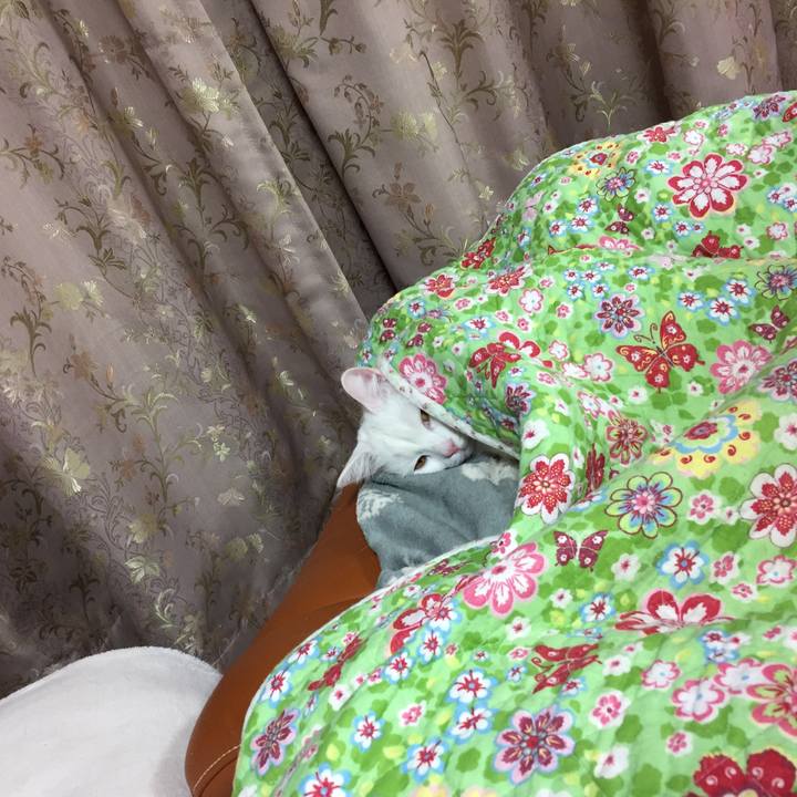 99d3b914 0394 43f5 a574 ef9036407ce9