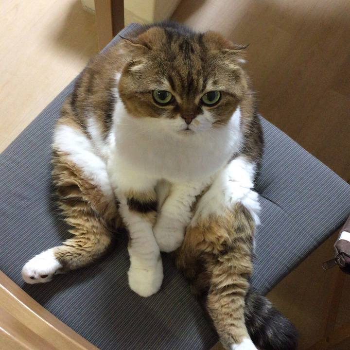 99d40d84 2c19 4bd2 9a31 d14607ecd07a