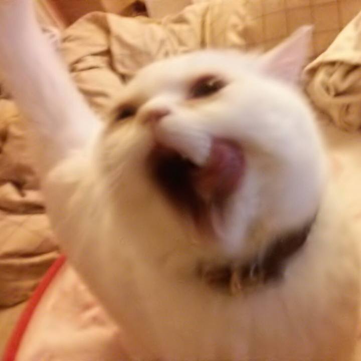 99d4a8ce 79c6 40de 8643 e95a90a989e9