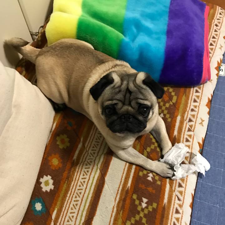 99d51667 f20b 4b9c a24f 14028761bcd3