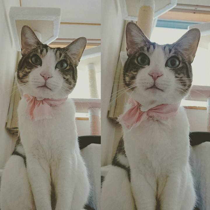 99d5f852 84ed 4d20 a713 2d6528c13712