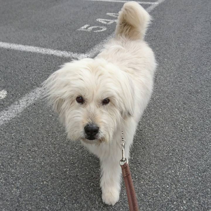 99d680b1 568a 4875 9226 f9ca99674a21