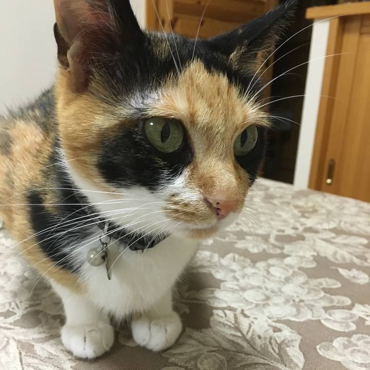 99d6b76e 5cd9 4e80 8b64 7d804c8ed298