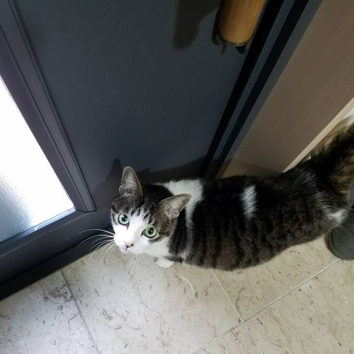 99d7176f ec93 4760 90c0 c10bb7836431