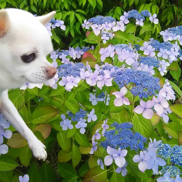 99d74506 f6c2 4a64 a502 9c6c404dfff5