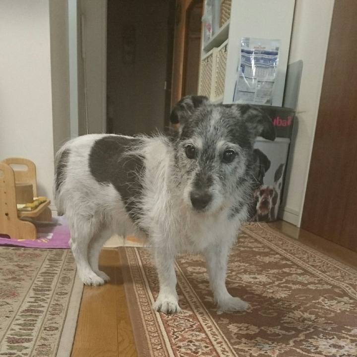 99d93208 462b 4bdb 8f5c 12eda450d832