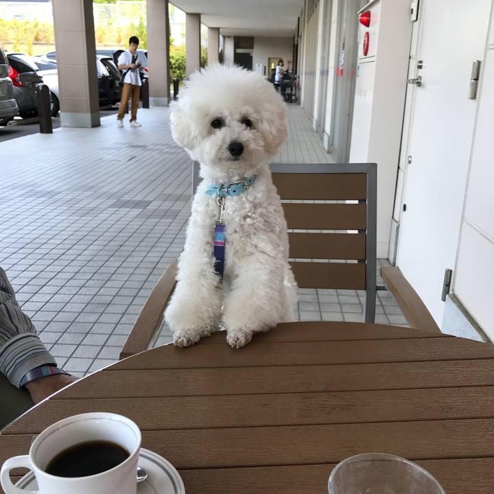 99d9544d 19f3 4725 ae00 3ff41d086cea