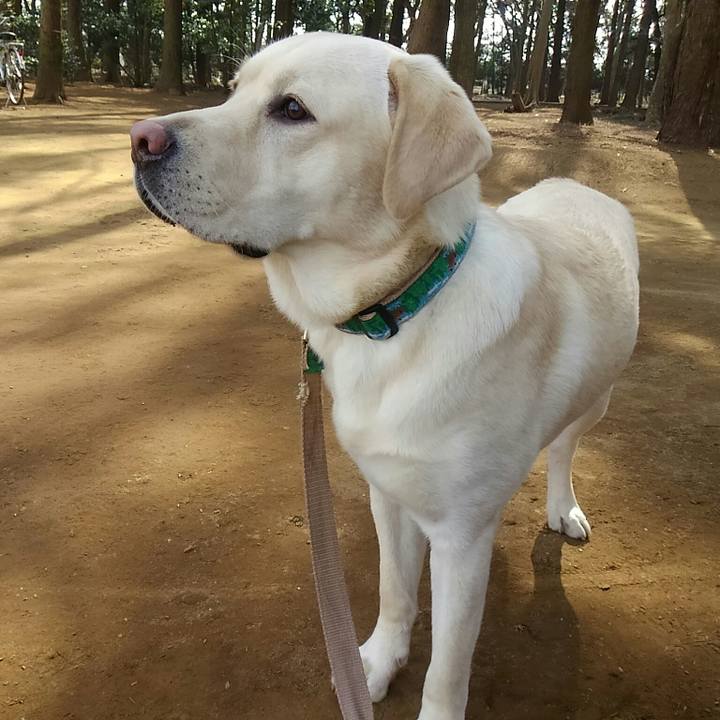 99da35af 5ccb 463d a5e6 0e1e07200589