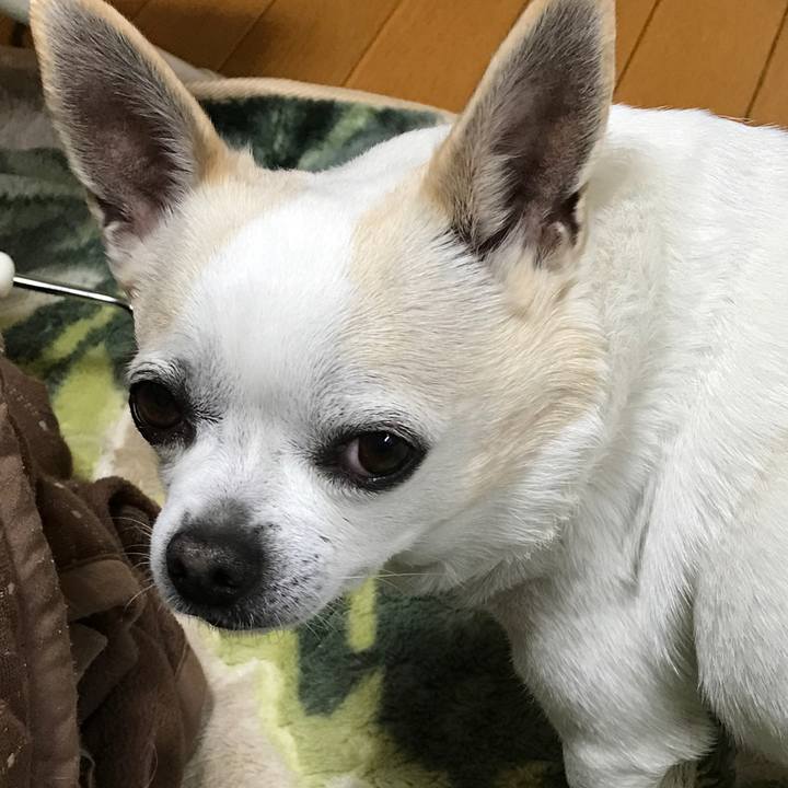 99da75a3 462c 46d8 9c06 8292dda2c208