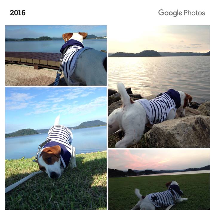 99daa284 b591 44ce 9112 b0c3f4436c28