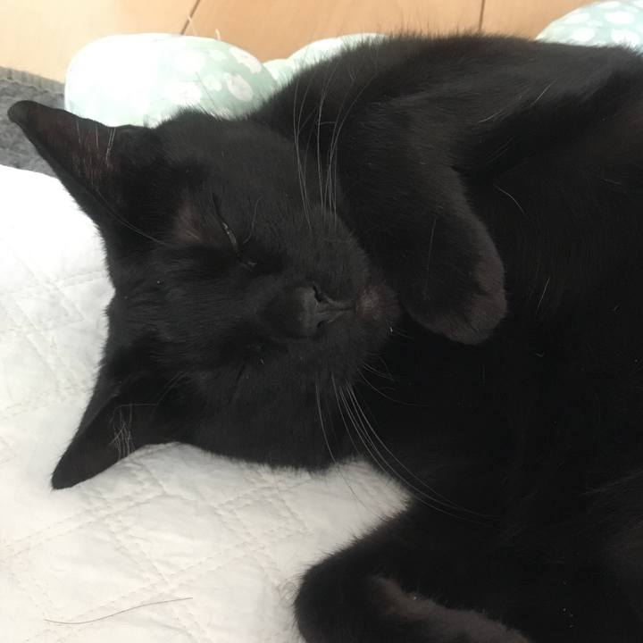 99db6a90 4500 4598 901d cb57629fc1ff