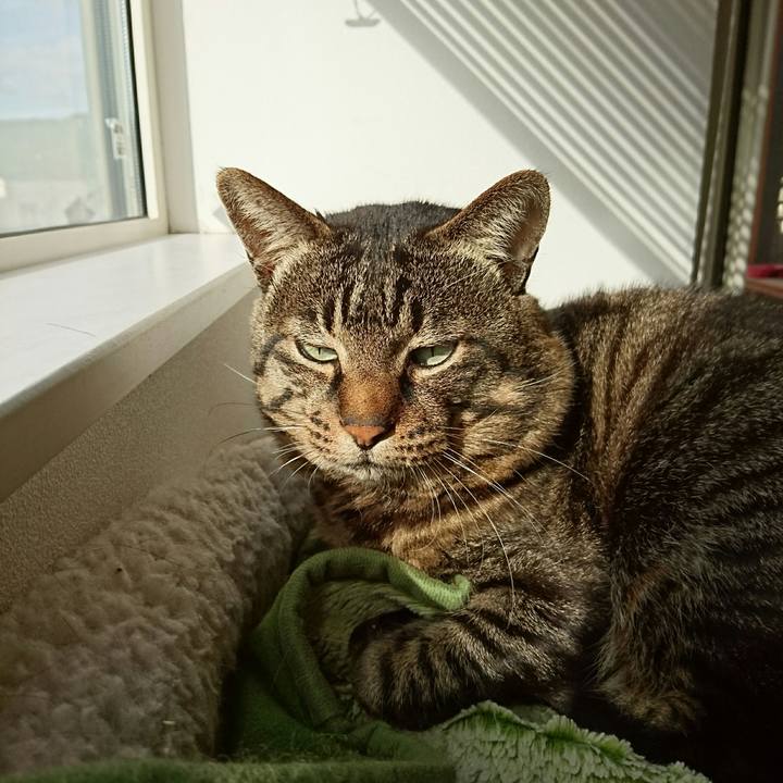 99dbfe6a 4c65 4e56 8613 2a5315127446