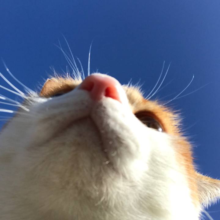 99dd51da fa40 48ed 8740 16307e466139