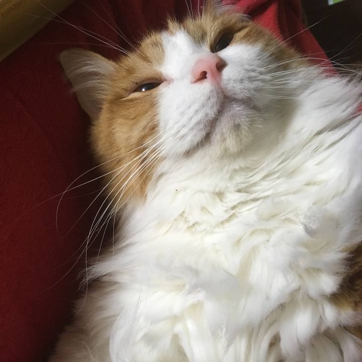 99dda35d 3e2a 4b95 a208 85e361575db1