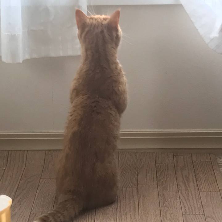 99ddc496 2664 493a 8f90 a0c0bb6d3fca