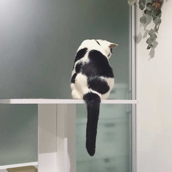 99de1274 46be 4da7 b4d2 d2e0ce6c94ce