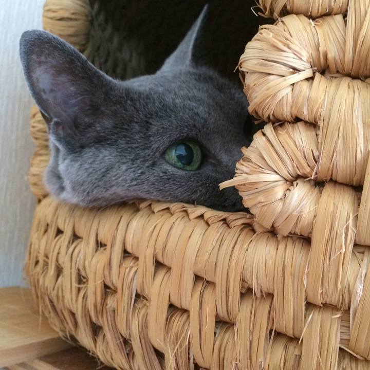 99deb2cf a784 4032 8831 cc0c0c7073f8