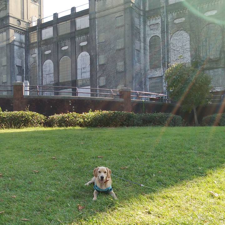 99dee63b fcf2 4c88 94bb 37d7efc97638