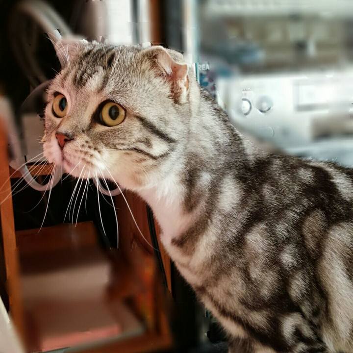 99df7b08 8ec2 4377 a720 229993ba0a35