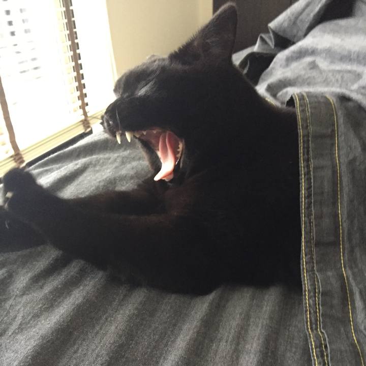 99dfae3c 862a 40d8 a4ca 4173eeb8375b