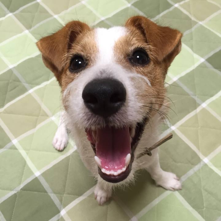 99e0ed35 3038 4b21 83d3 a8145b5d33a7