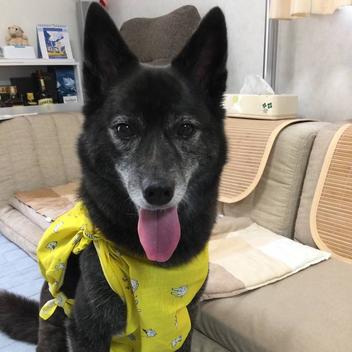 99e20a7e ce32 42c5 98ce 91bbdffcd15b