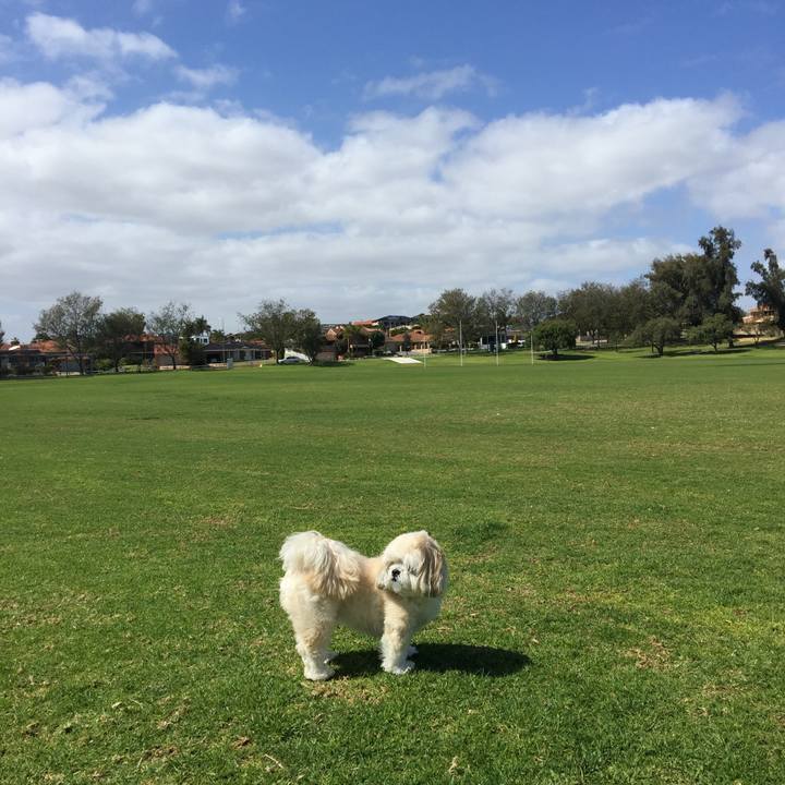 99e22566 c46b 4b63 adbe 2c3da052e1b9