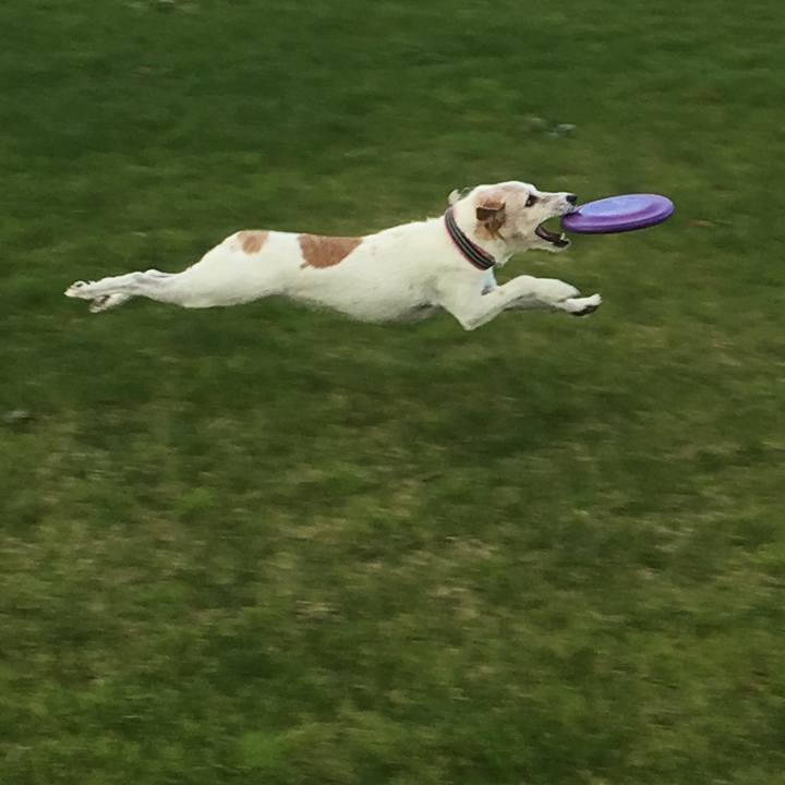 99e2d2f4 9a61 4edf 9065 06547e52010b