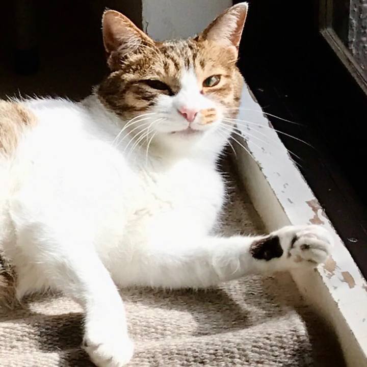 99e30b2c 82e3 46d9 82f3 ea633dcfd2e5